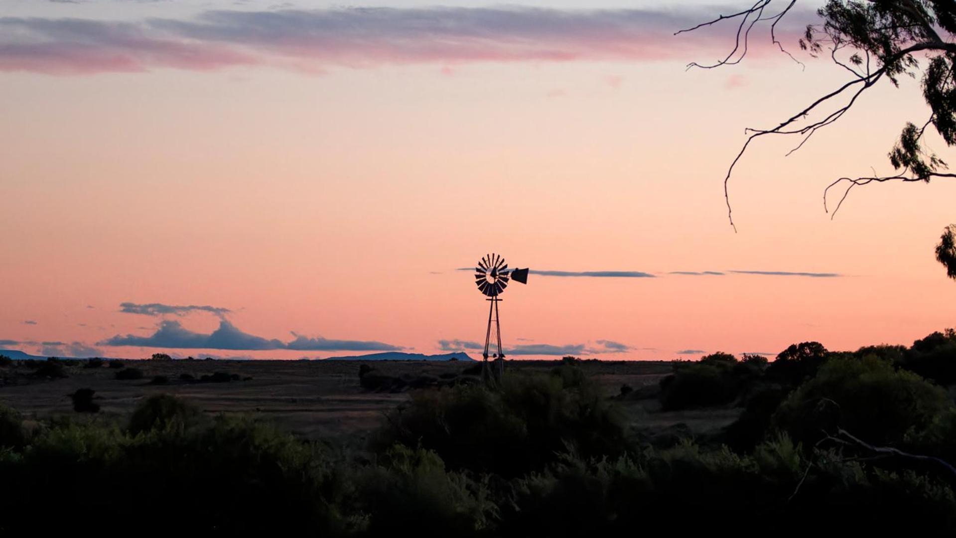 Вилла Garingboom Guest Farm Springfontein Экстерьер фото